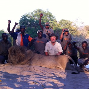 Lion hunted in Mozambique