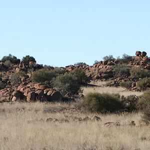 Karoo Rock Erratics