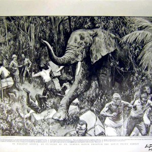 Elephant Charge