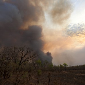 Smoke from grass fire in CAR