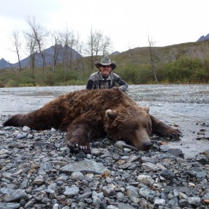 Alaska Brown Bear