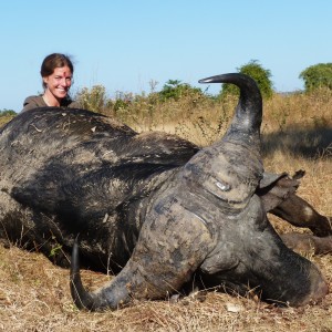 Buffalo hunted in tanzania with a 375HH