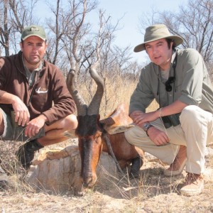 Hartebeest Limpopo