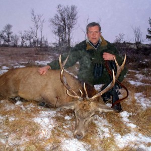 Red deer from my farm