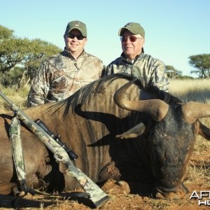 Blue Wildebeest hunted in South Africa