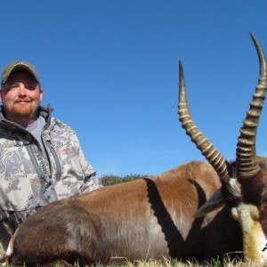 Blesbok hunted in South Africa