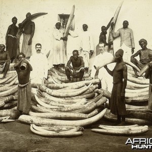 Ivory trade in East Africa during the 1880s and 1890s