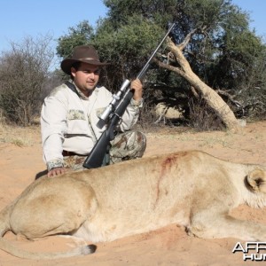 Hunting lion with Savanna Hunting Safaris