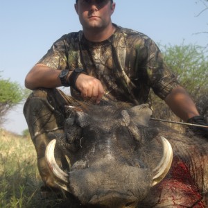 Bowhunting Warthog in Namibia