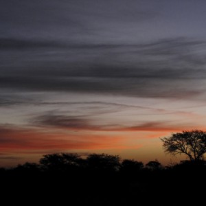 SOUTH AFRICA, Limpopo province. August of 2009