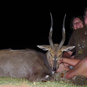 Bushbuck