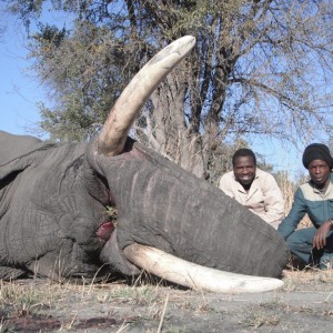 Elephant Trackers Caprivi
