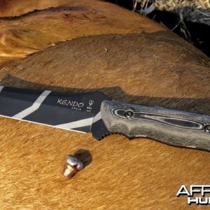 Blaser R93. 338 Win Mag. Limpopo 2008.