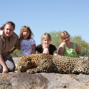 Leopard Namibia