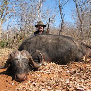 Buffalo Zimbabwe