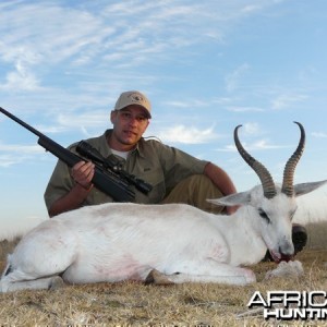 White Springbok