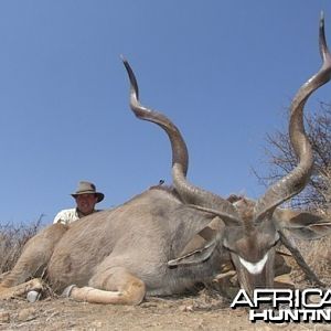 Greater Kudu Namibia