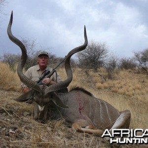 Greater Kudu Namibia