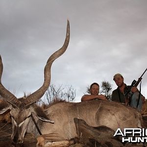 Greater Kudu Namibia