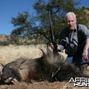 Brown Hyena