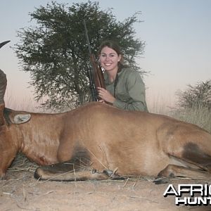 Hartebeest