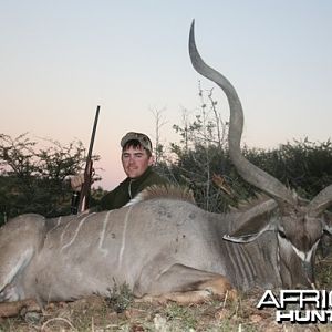 Greater Kudu