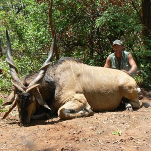 Giant Eland