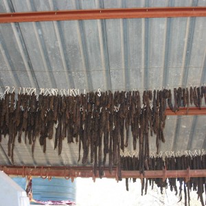 Biltong