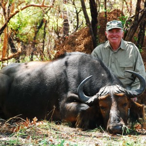 A mixed colour buffalo. Taken at noon a hot february day, 2009