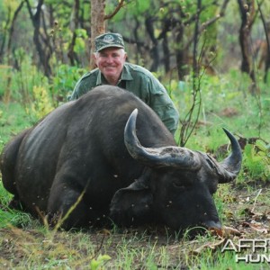 Central African Savannah Buffalo shot at CAWA-Safari