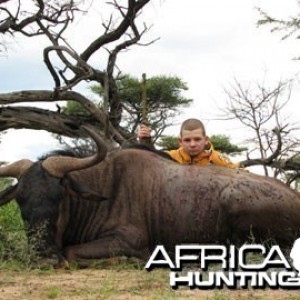 Blue Wildebeest Hunting in Namibia