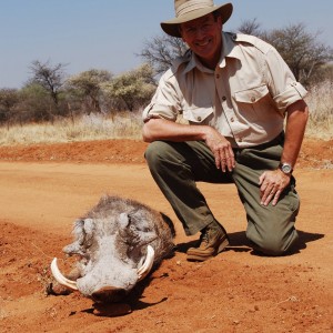 Namibian Warthog