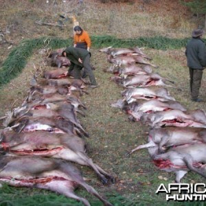 Fall 2008 Drive Hunt, Hohenfels Germany