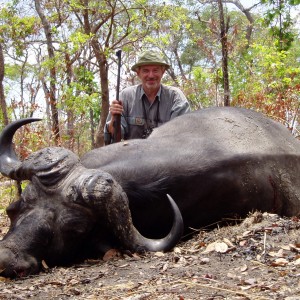 Selous K1 Cape Buffalo