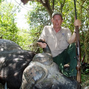 Gonabisi Tanzania Cape Buffalo