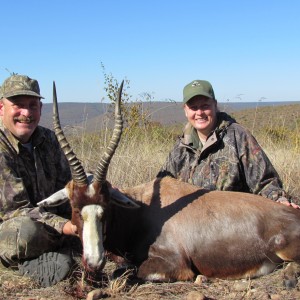 Blesbok Bull