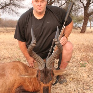 Hartebeest