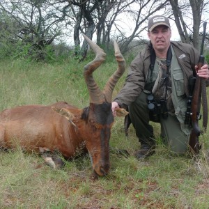 Hartebeest