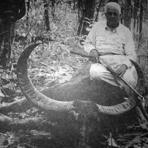 Maharaj Kumar with Asiatic Buffalo