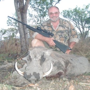 Warthog Mozambique
