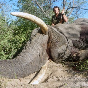 Elephant Botswana 2011 63 x 64 Lbs