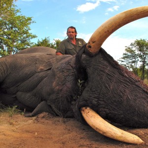 Elephant Botswana 2011 57x54