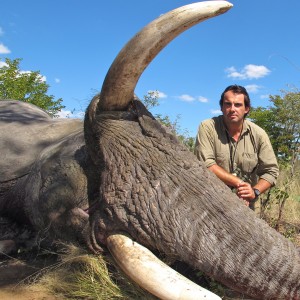 Elephant Botswana 2011 72x69