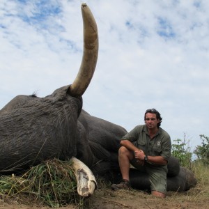 Elephant Botswana 2011 67 x 64 Lbs