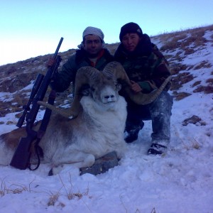 Hunting Marco Polo Sheep in Kyrgyzstan