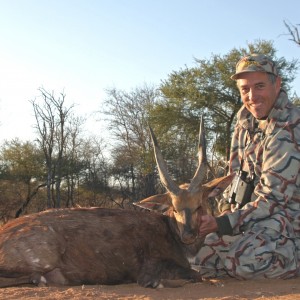 Limpopo Bushbuck