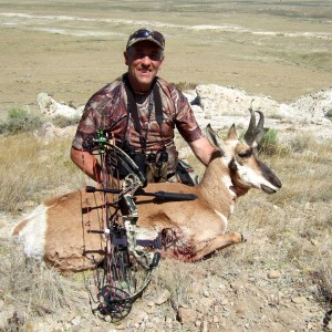 Wyoming Pronghorn Antelope