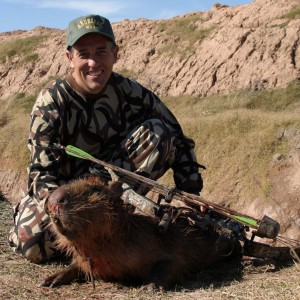 Capybara-Argentina