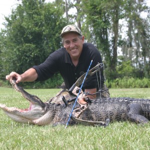 Florida Gator