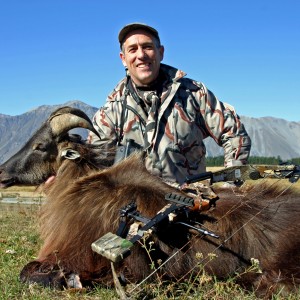 New Zealand Tahr